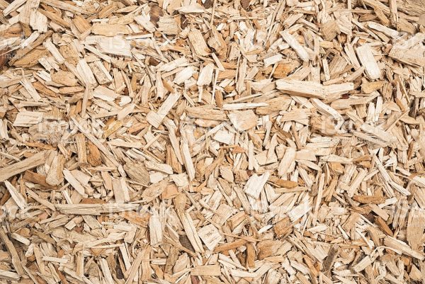 Beech Wood Chips For Sale