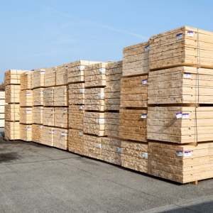 Birch lumbers For Sale
