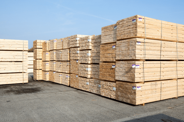 Birch lumbers For Sale