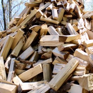 Poplar FireWood For Sale
