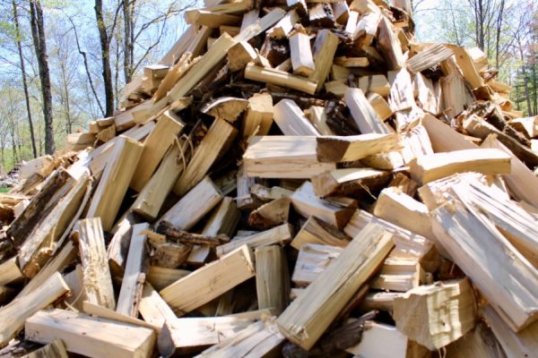 Poplar FireWood For Sale