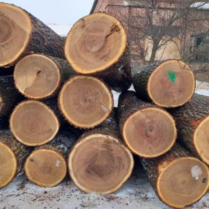 Red Oak Logs For Sale